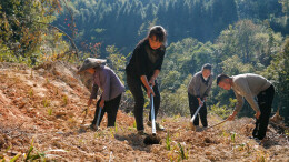 大力实施“1354”工程 | 沙溪乡：产业发展奔新路 石菖蒲变“致富草”