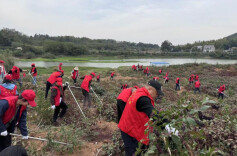 云溪区水利局：油茶基地管护忙 志愿服务助振兴