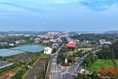 长沙县路口镇：种业促腾飞 农旅谱振兴