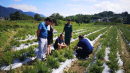 让乡土人才变“流”为“留”