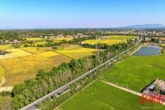 桃源县架桥镇：稻香流水景如画 村美民富产业兴