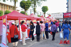 云溪区：“金秋职潮”引才聚智，共绘高质量就业新蓝图