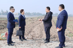 华容农商银行：强化金融服务能力 “贷”动芥菜产业蓬勃发展