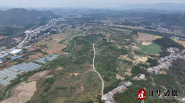 江华：“金果”满枝头 “橙”味香满园