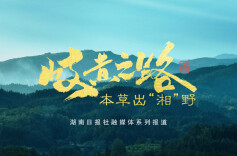 预告片｜岐黄之路•本草出“湘”野