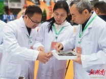  直击|首届古丈红茶斗茶赛真“香”现场