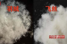 经武快评 | 羽绒服里没羽绒？莫让天寒心也寒