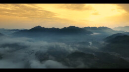 好喝的年份茶 白沙溪黑茶年鉴·千两茶上市