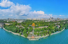 岳阳楼区委编办提升“三力”促“一主一特”产业体系发展