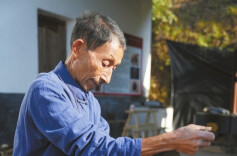 岐黄之路•本草出“湘”野④|“白衣君子”，蔚然独秀出深山