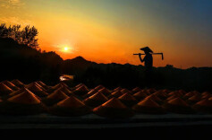 你知道吗？中方有个传统手工艺品叫——斗笠