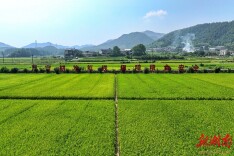 “新农人”唱响韶山“兴农”主旋律