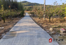江华大路铺镇：硬化产业路 助力乡村振兴