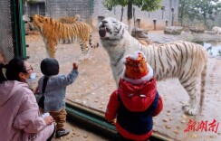 13家!湖南拟评定新一批4A级景区名单公示了