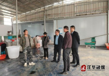 江华大圩镇：发展红薯特色产业 红薯粉条变“金条”