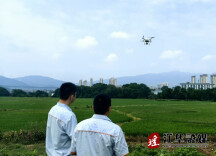 国寿财险江华支公司：科技赋能 高效助推农业保险