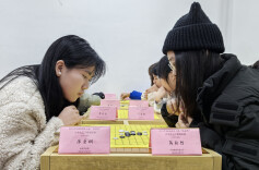 800多名棋手以棋会友 2024省第七届“栋梁杯”大学生五子棋锦标赛举行