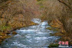 九寨沟冬日入眼成画 游人争先打卡美景