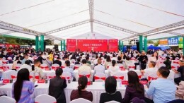 2024广州茶文化节举行，三款古稀老茶惊艳芳村