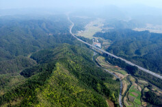 通道：增“绿”提“质” 让生态“高颜值”变经济“高价值”