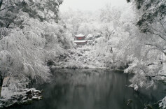 雾凇成片！湖南，冬季限定美景已上线