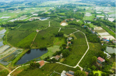 幸遇乡友，感恩华容