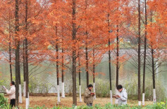 风云再起！摄影师探访“考研大军”