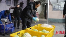 洪江区开展“校园餐”突出问题专项整治