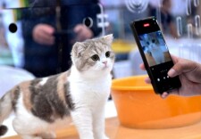 宠物经济快速增长 激活消费新潜能