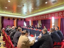 蒋春艳参加路口镇、陆城镇代表团分团讨论