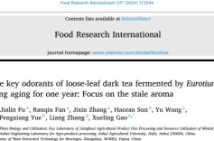 黑茶陈化到底有什么作用？