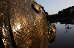 我的2024 | 赵有强：一半是遐想，一半是实践