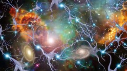 长期记忆可独立于短期记忆形成