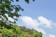 新年，我们与温暖如期接驳