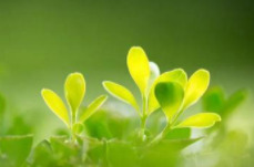 三湘时评丨“请做好准备，前方就是春天”