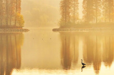 我的2024 | 曹正平：摄影之旅的“归去”与“新程”