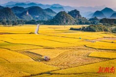 湘商要闻丨湖南如何夯实粮食生产根基