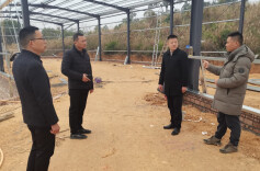 雨湖区鹤岭镇商会：牵线搭桥促乡村振兴