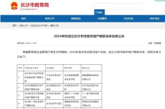 喜报！长沙民政职院“长沙市市级市域产教联合体”成功获批立项