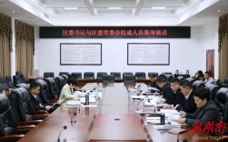 雷欣与区委常委会会议组成人员开展集体谈话