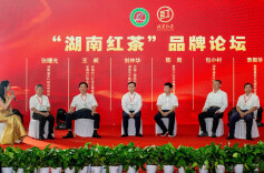 实现综合产值280亿元，湖南红茶成为千亿湘茶增长最快、贡献最大的茶类