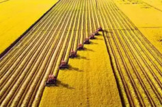 两会快评｜让大国粮仓更殷实