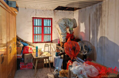 马蜂在杂物间“安家”，望城消防迅速处置