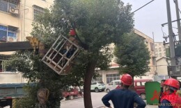 君山区：多方协同除隐患，人民热线为人民