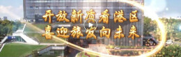 “开放新质看新港 喜迎旅发向未来”系列报道第2期——CCTC悦购 #第四届湖南旅游发展大会# #大美江湖天下岳阳#