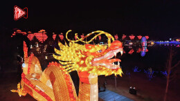 柳叶湖渔歌艺术营地2025年鱼化龙新春游园会