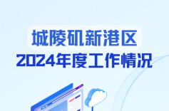 【一图读懂】城陵矶新港区2024年度工作情况
