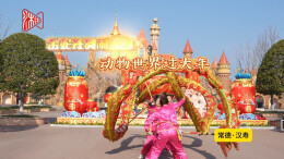 常德年味儿｜动物世界过大年，蛇都变得可爱了，真是人与自然和谐之美