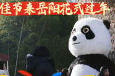 科技范+文化味！中华大熊猫苑喊你一起过年