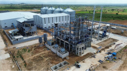 【新春策划】岳阳伢妹子在非洲过春节④